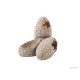 Exo Terra Dinosaur Eggs slėptuvė/vandens indas, 7x5.9x5.1 cm