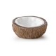 Exo Terra Kokoso vandens indas, 10x5 cm