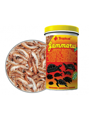 Tropical Grammarus - džiovintos krevetės, 500ml