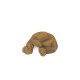 Exo Terra SLĖPTUVĖ ROPLIAMS,  26 x 19 x 10 cm