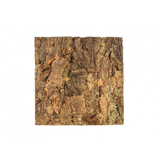 Kamštinis fonas terariumui (L), 60x30 cm