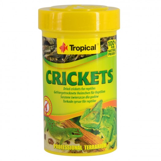 Tropical Crickets - džiovinti svirpliai, 100ml./10g.