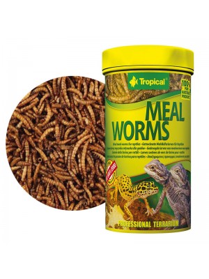 Tropical Mealworms - džiovintas milčius, 100ml./13g.
