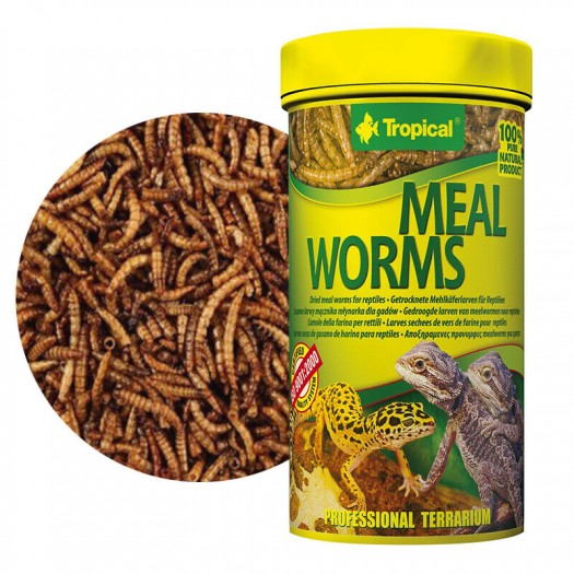 Tropical Mealworms - džiovintas milčius, 100ml./13g.