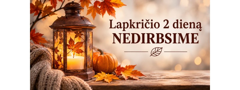 darbo laikas