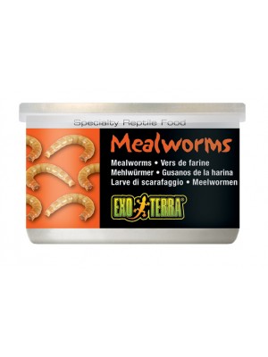 Exo Terra Canned Foods - vabzdžių lervos, 34 g