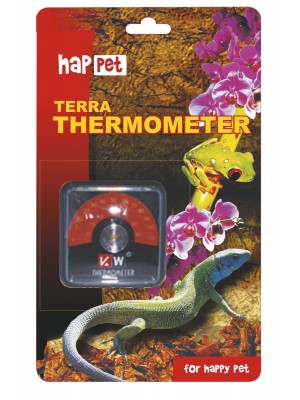 Termometras